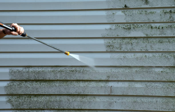 Best Sign and Awning Cleaning  in Manton, MI